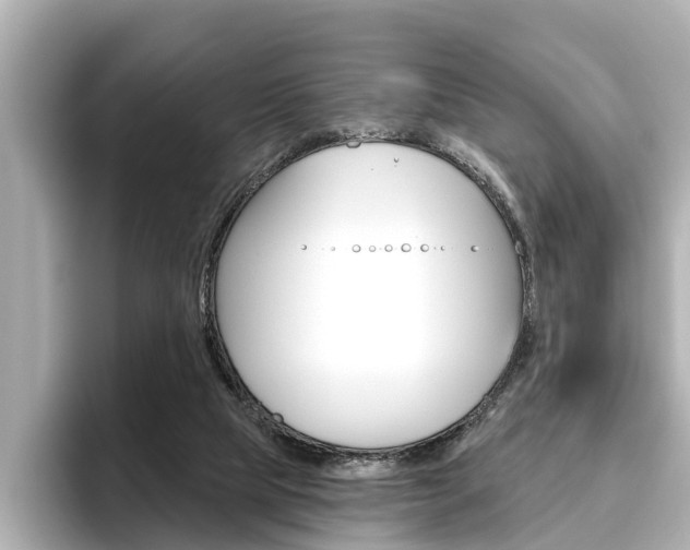 X0000096470065200801241146