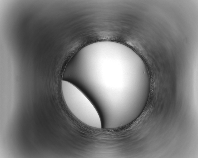 X0000096470066200801241146