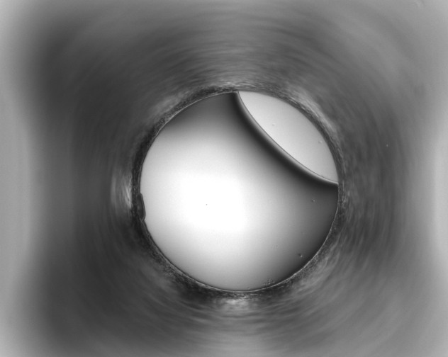 X0000096470068200801241146