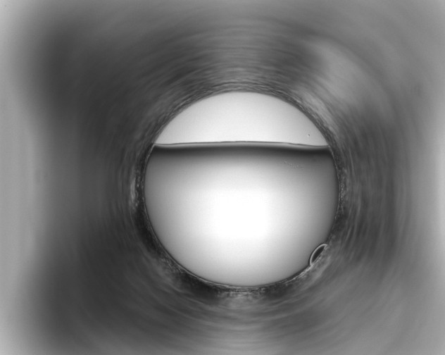 X0000096470074200801241147
