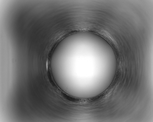 X0000096470076200801241147