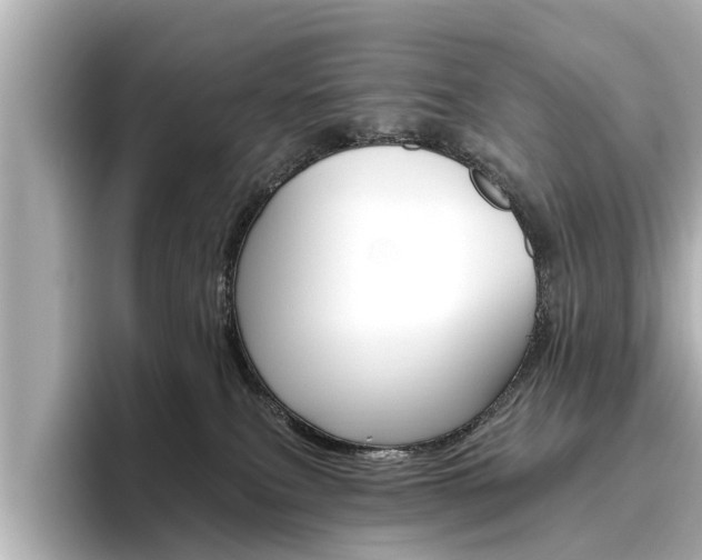 X0000096470087200801241147