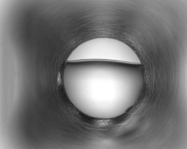 X0000096470089200801241147