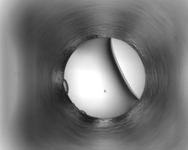 X0000096470093200801241147