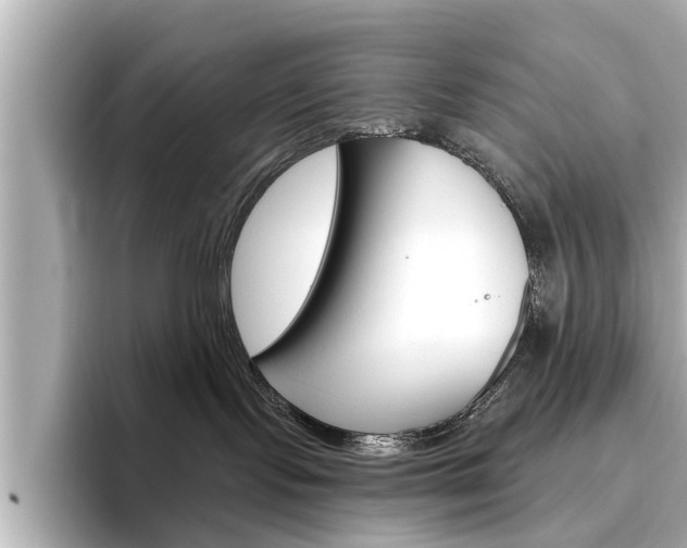 X0000096470095200801241147