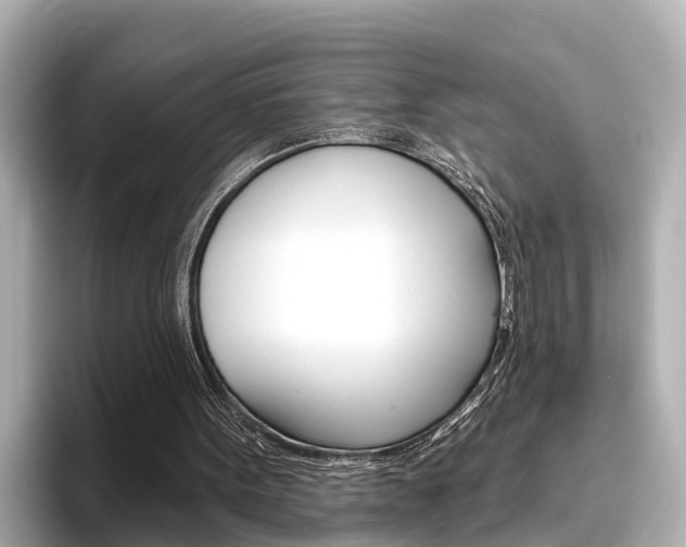 X0000096470099200801241146