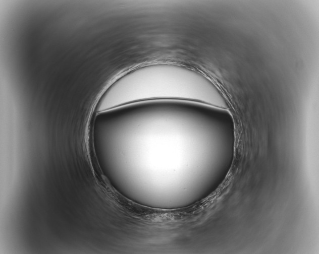 X0000096470100200801241146