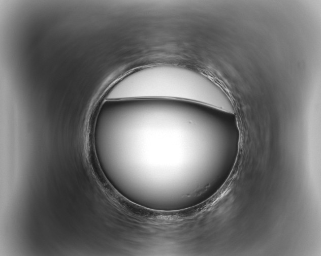 X0000096470101200801241146
