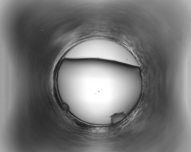 X0000096470102200801241146