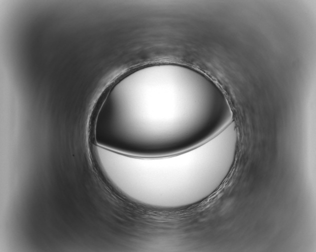 X0000096470104200801241146