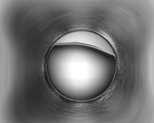X0000096470105200801241146