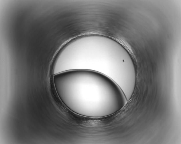 X0000096470108200801241146