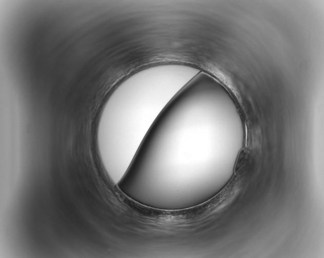 X0000096470109200801241146