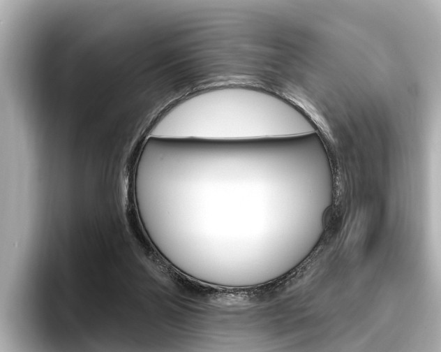 X0000096470110200801241146