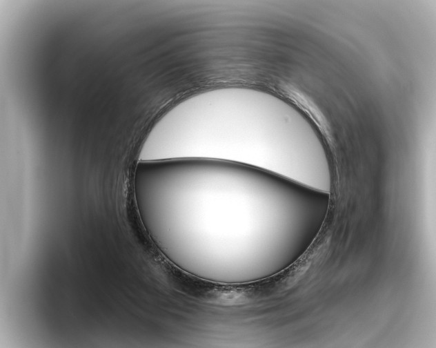 X0000096470113200801241146