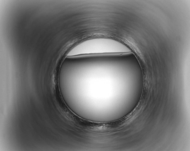 X0000096470116200801241146