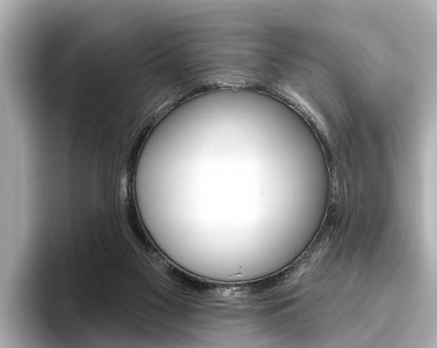 X0000096470117200801241146