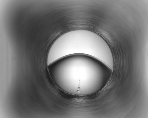 X0000096470120200801241146