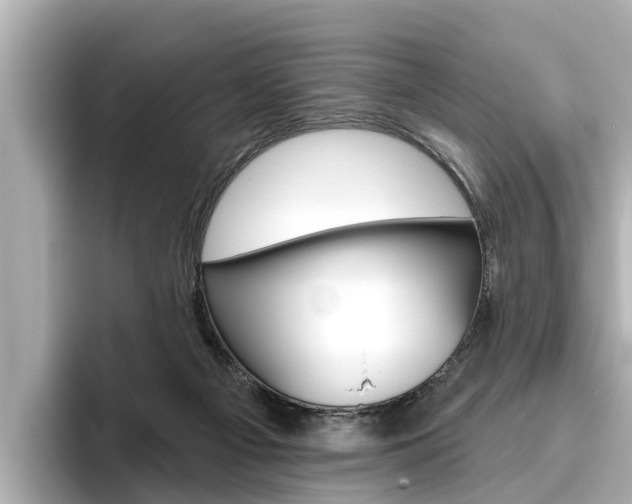 X0000096470121200801241146