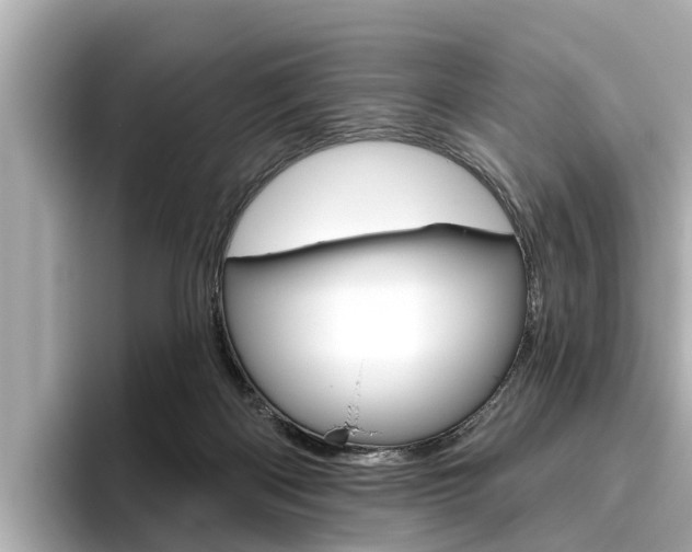 X0000096470122200801241146