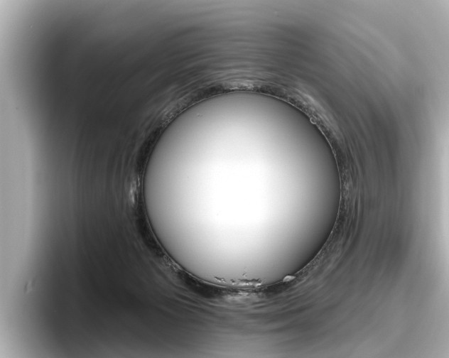 X0000096470125200801241146