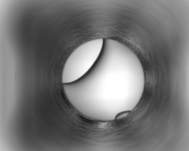X0000096470130200801241146