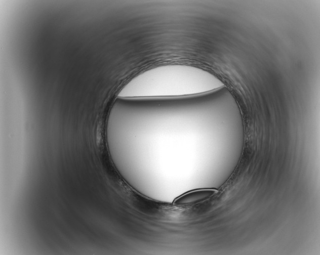 X0000096470131200801241146