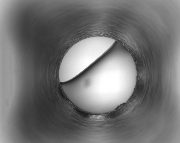 X0000096470133200801241146