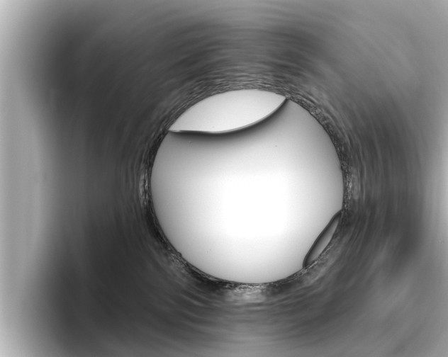X0000096470138200801241146