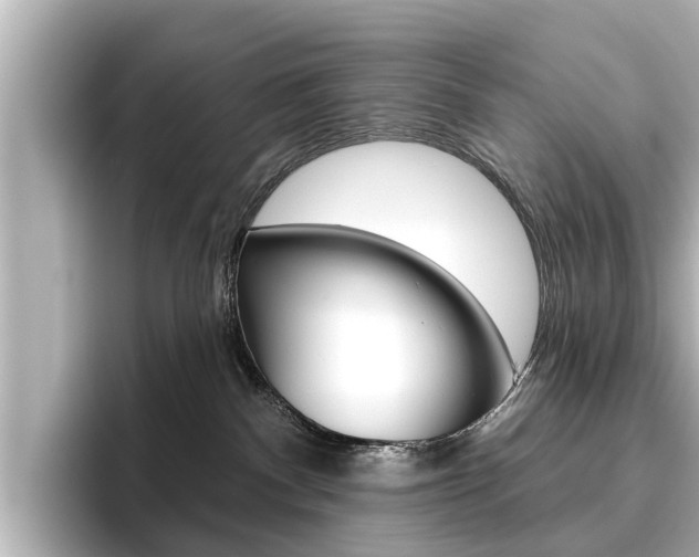 X0000096470140200801241146