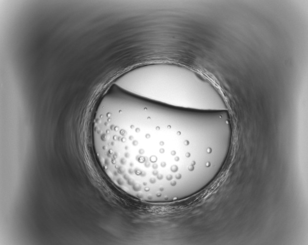X0000096470145200801241145