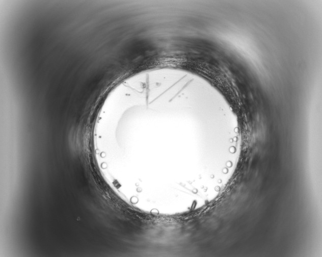 X0000096470146200801241145