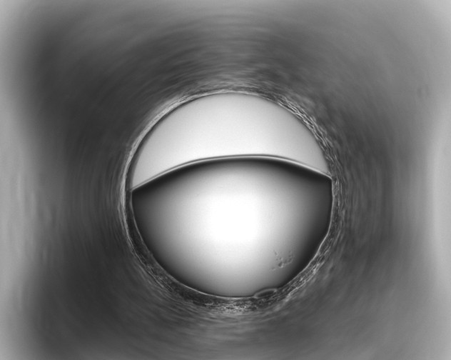 X0000096470148200801241145
