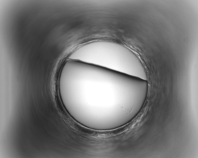 X0000096470149200801241145