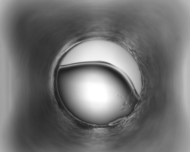 X0000096470150200801241145