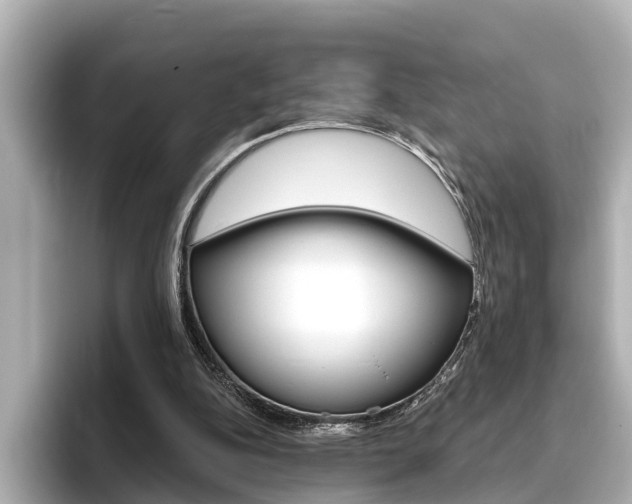 X0000096470152200801241145