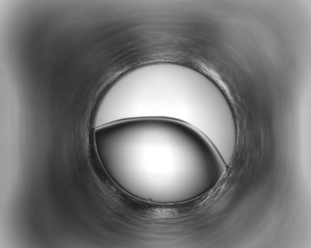 X0000096470154200801241145