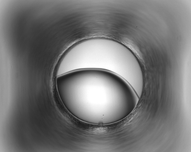 X0000096470156200801241145