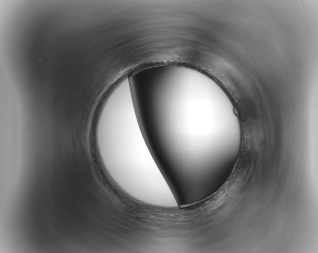 X0000096470160200801241145