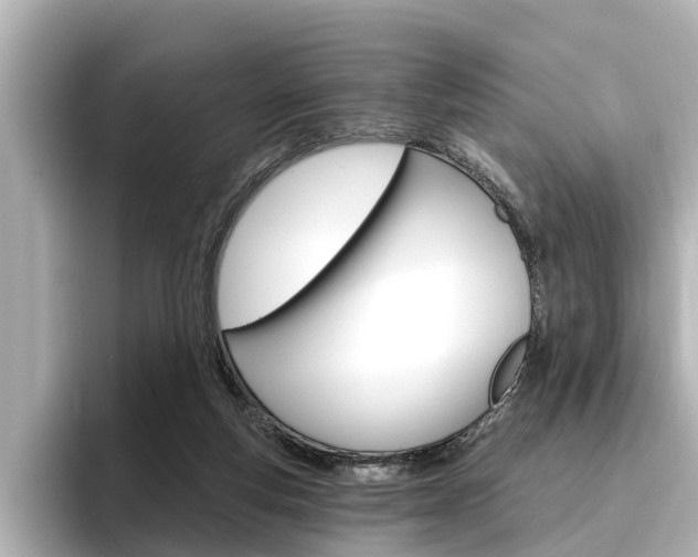 X0000096470163200801241145