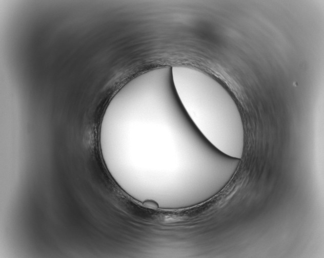 X0000096470165200801241145