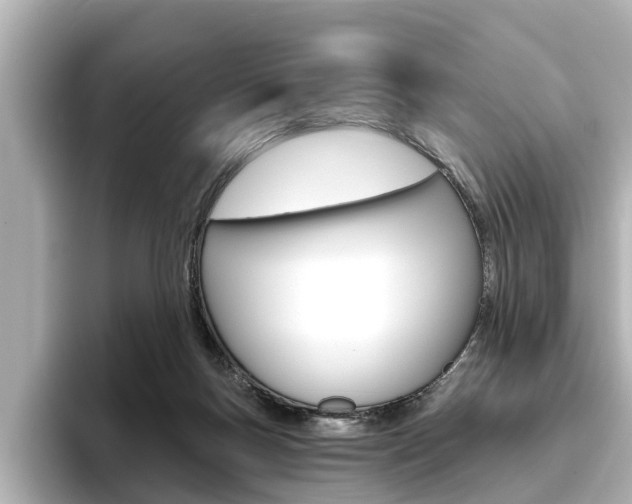 X0000096470167200801241145