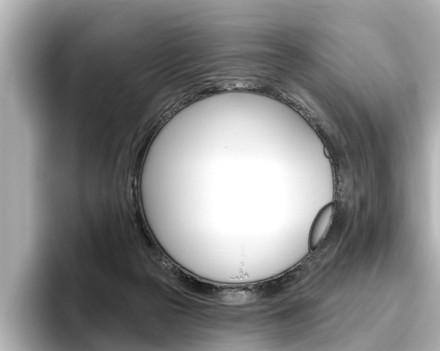 X0000096470169200801241145