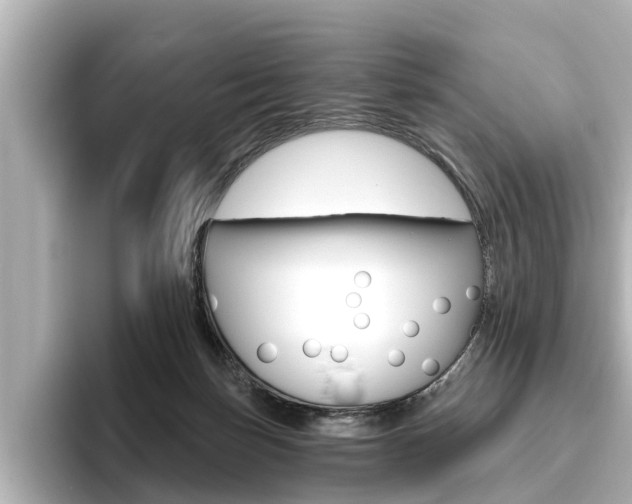 X0000096470171200801241145