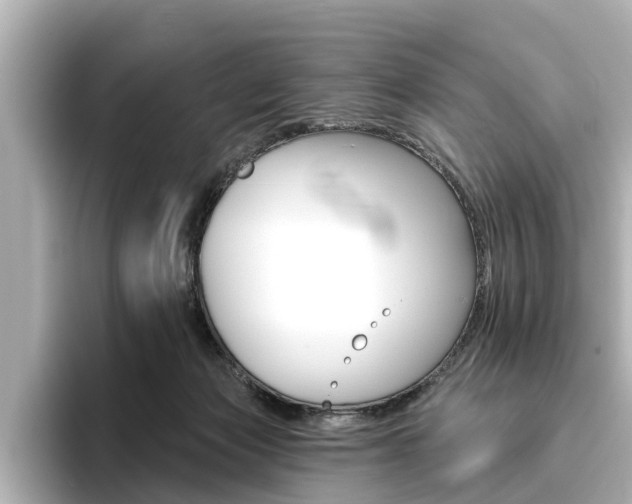 X0000096470173200801241145