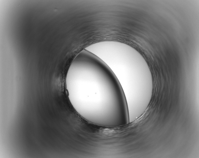 X0000096470180200801241145