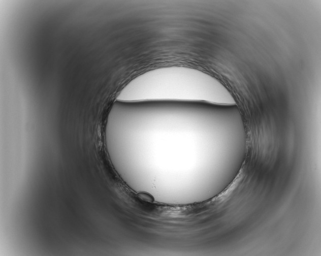 X0000096470182200801241145