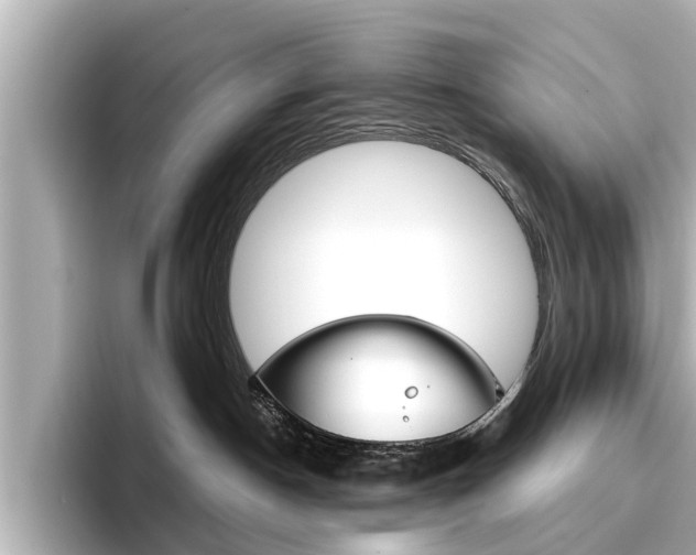 X0000096470190200801241146