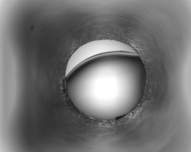 X0000096470192200801241146
