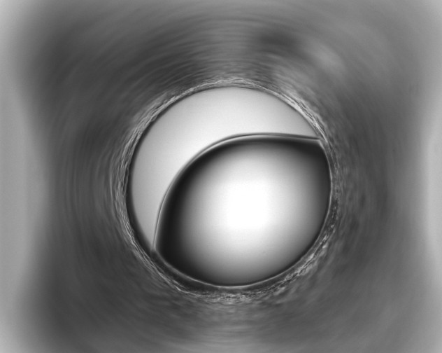 X0000096470193200801241145